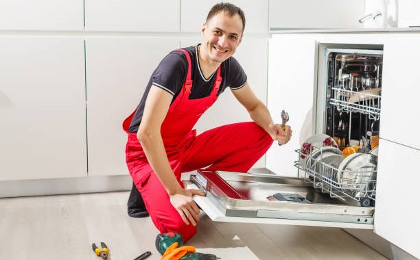 Common breakdowns of Bosch dishwashers 5 CVR 2 1