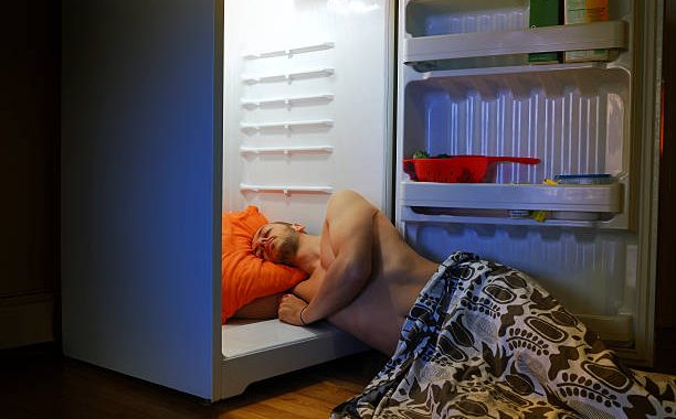 What to do if the refrigerator makes a loud noise. The main causes and useful tips on how to eliminate noise 1 NCR