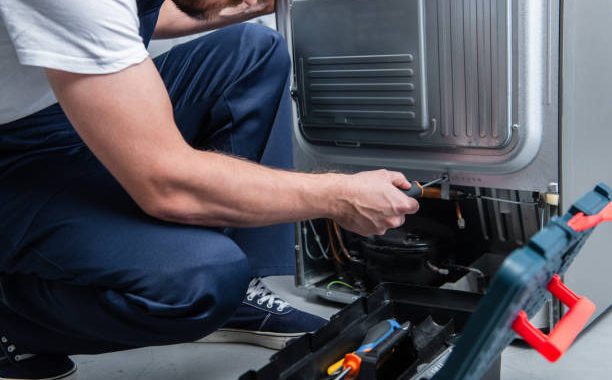 Fridge Troubles? Refrigerator Repair Chula Vista to the Rescue! 1 Refrigerator Repair