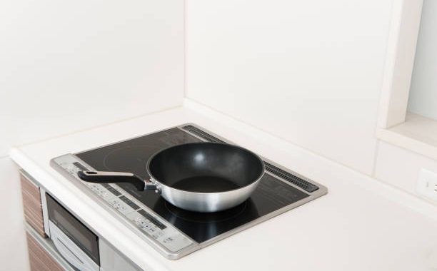 Unlocking Culinary Versatility: An Overview of Induction Cookers with Different Heating Modes 6 CVR 5