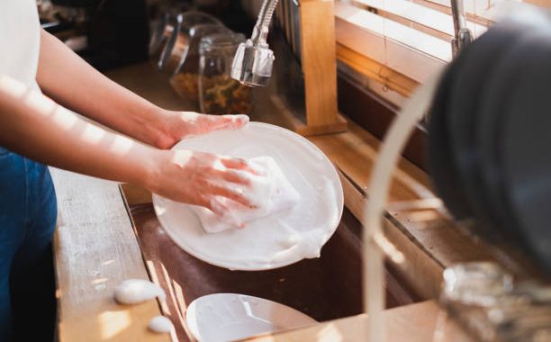 Unveiling the Secrets of Long-Lasting Dishwashers: Tips for Prolonging Appliance Lifespan 2 CVR 3