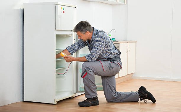 Mastering Food Preservation: Strategies for Optimal Cooling and Preservation in the Refrigerator 1 CVR 8