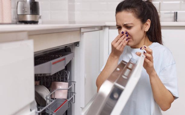 Unveiling the Truth: Real User Reviews on the Reliability of Different Dishwasher Brands 3 CVR 1 1